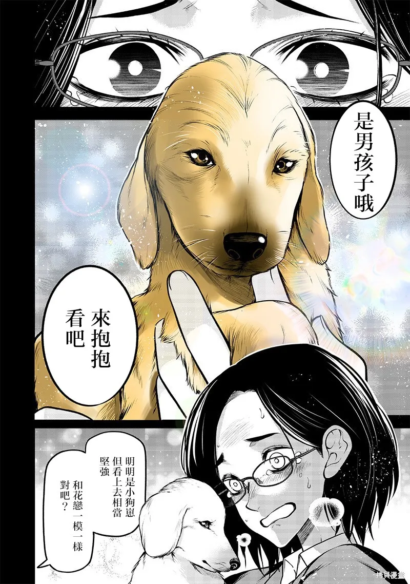 我家碰太變成了人類這件事。,云雀的追忆前篇,第14张