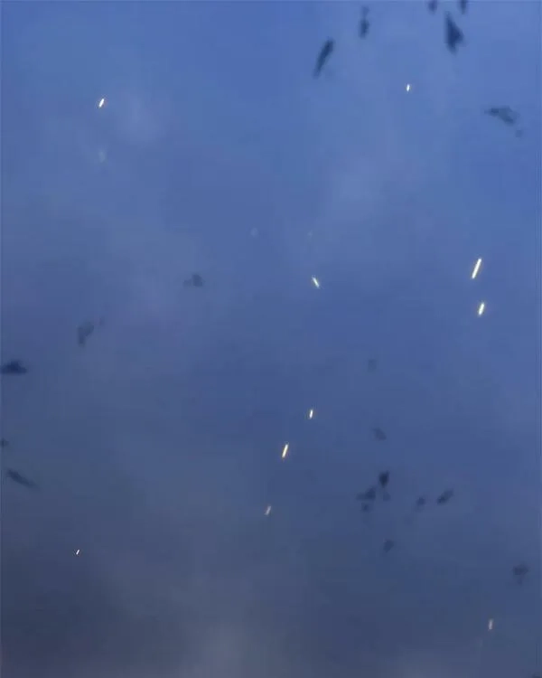 重生归来的战士,第151话,第148张