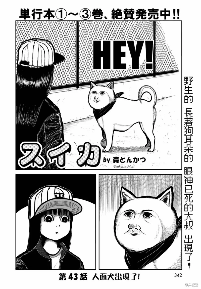 西瓜妹妹,第43话,第2张