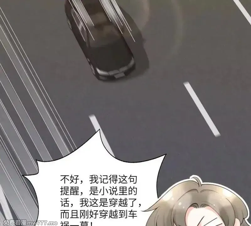 我在虐文当爽文女主,第1话 穿越到虐文结局,第54张