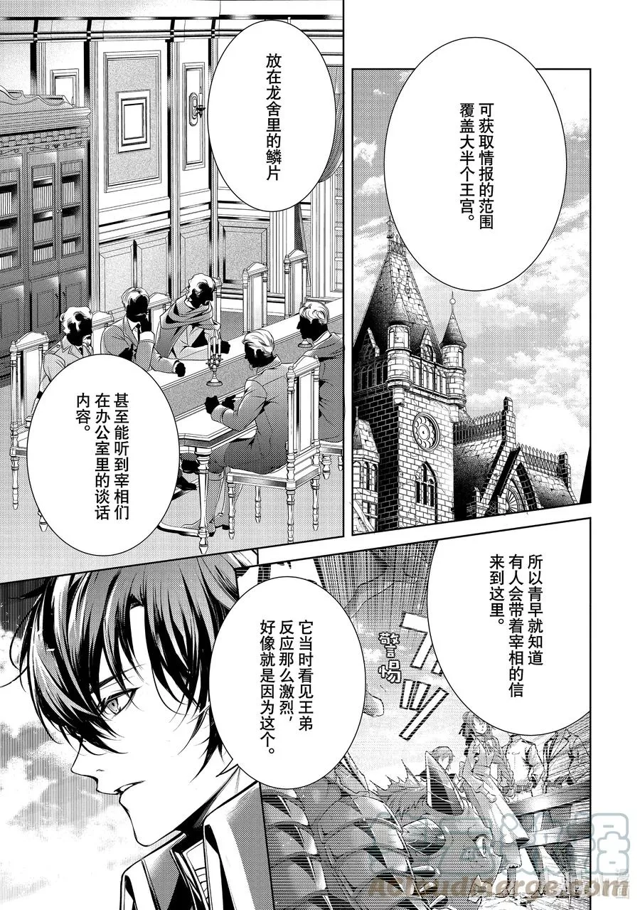 龙骑士的宠儿,30 30,第19张