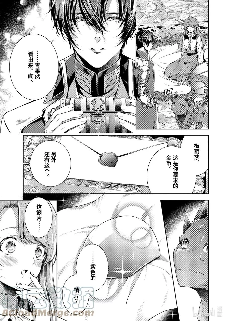 龙骑士的宠儿,30 30,第3张