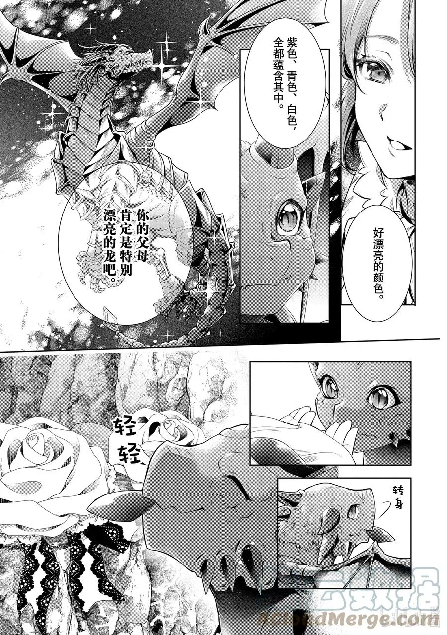 龙骑士的宠儿,30 30,第5张