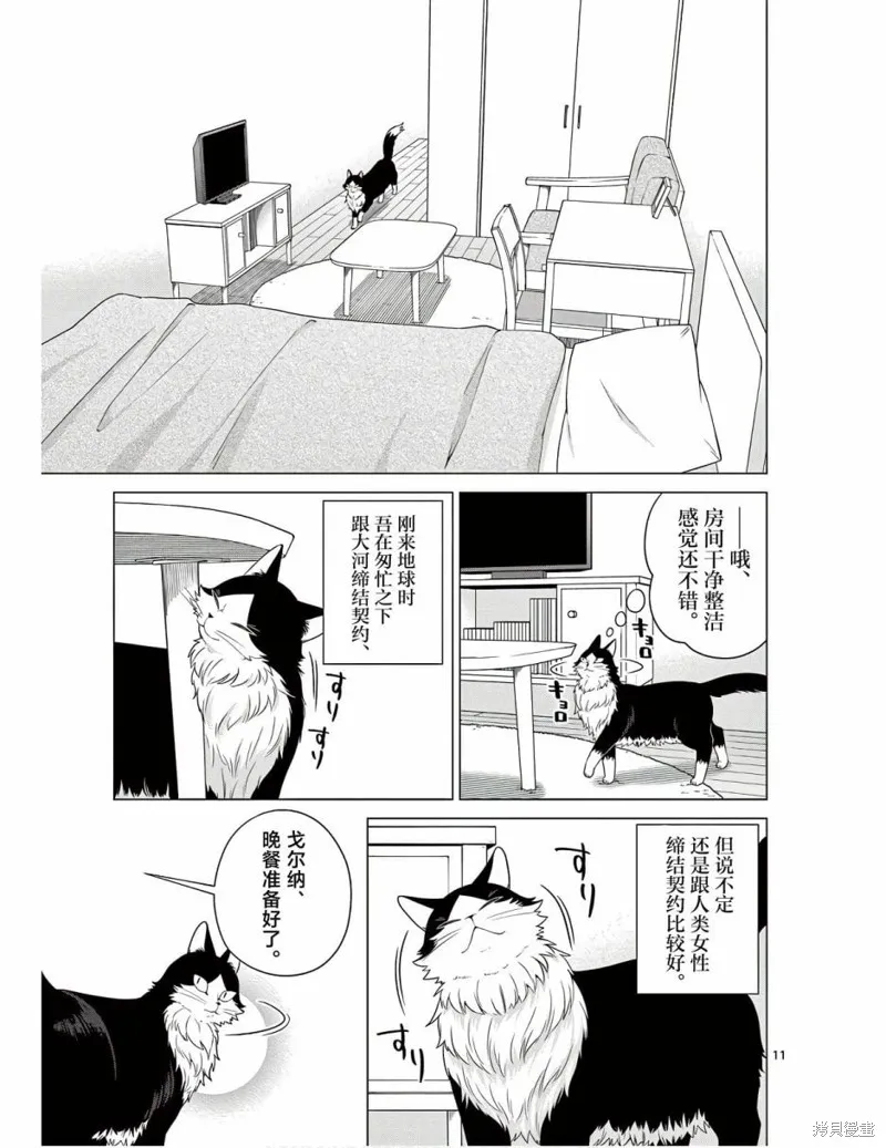 成為貓咪的奴隸吧,第06話,第11张