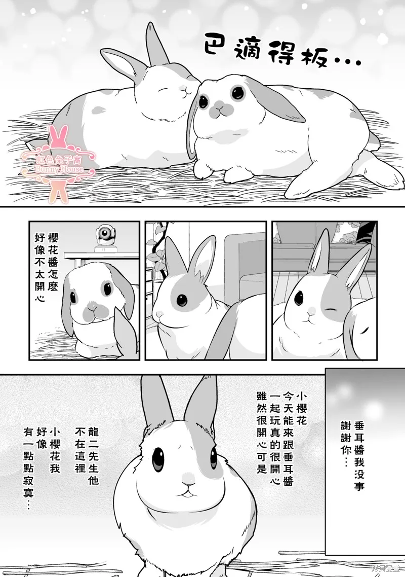 极道兔兔,第22话,第14张