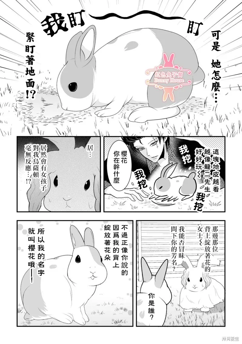 极道兔兔,第39话,第11张