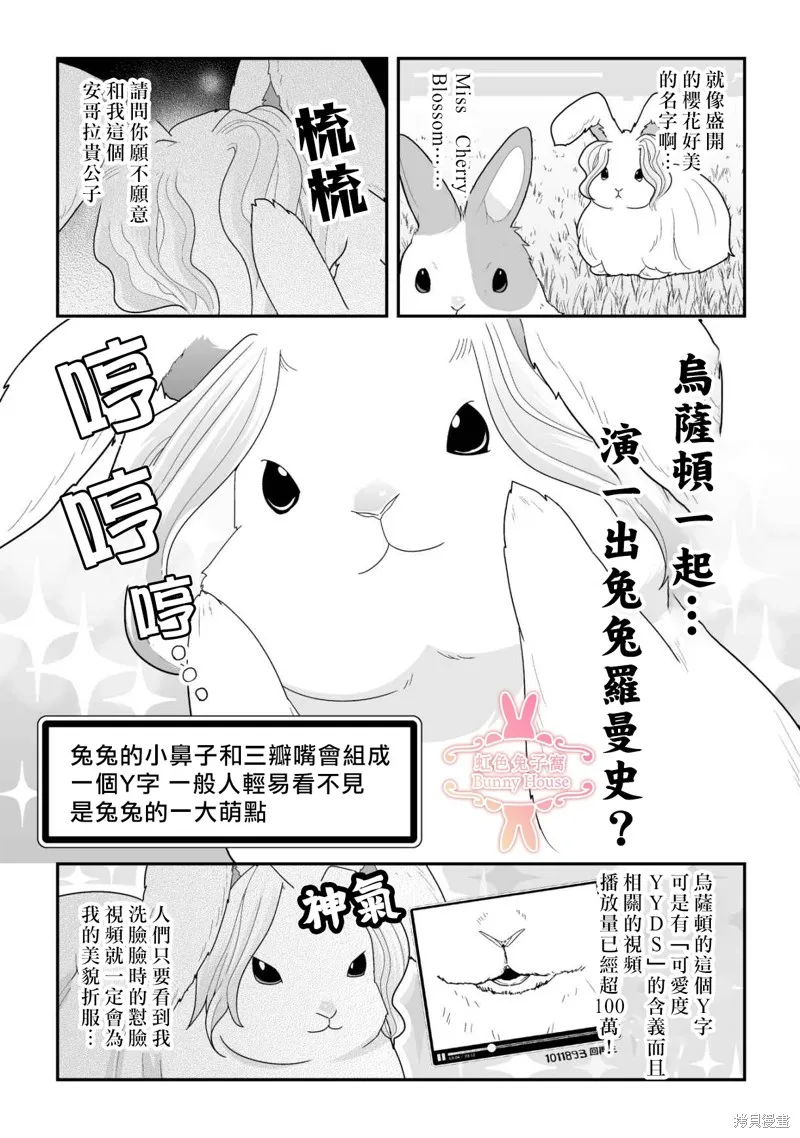 极道兔兔,第39话,第12张