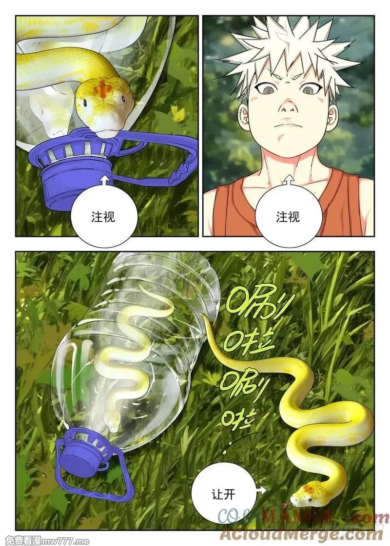 走阴人,包袱,第11张