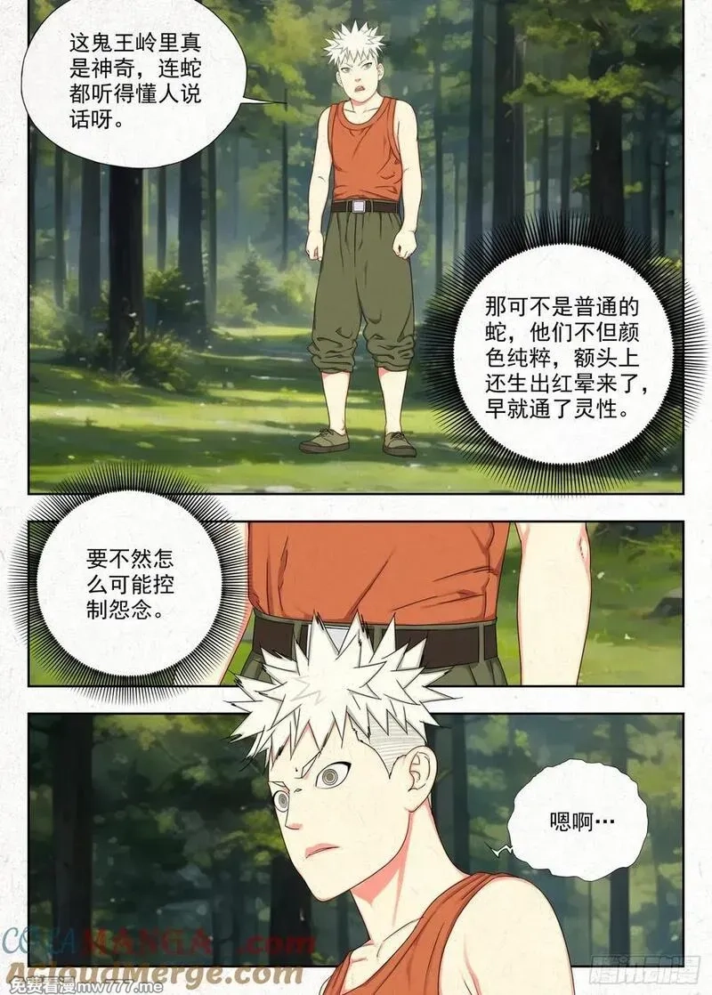 走阴人,包袱,第17张