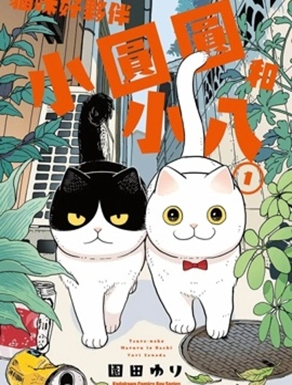 貓咪好夥伴小圓圓和小八