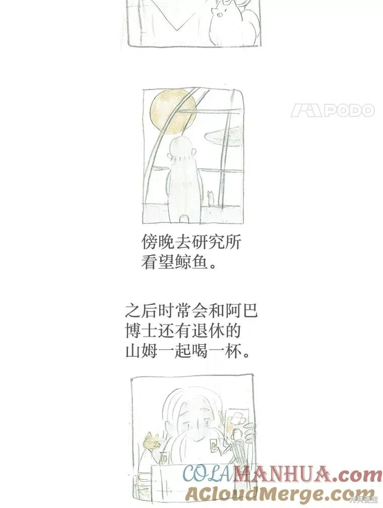襪子精靈,后记（问答）,第11张