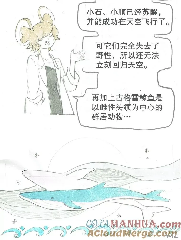 襪子精靈,后记（问答）,第13张
