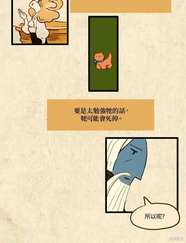 襪子精靈,第3季18话,第12张
