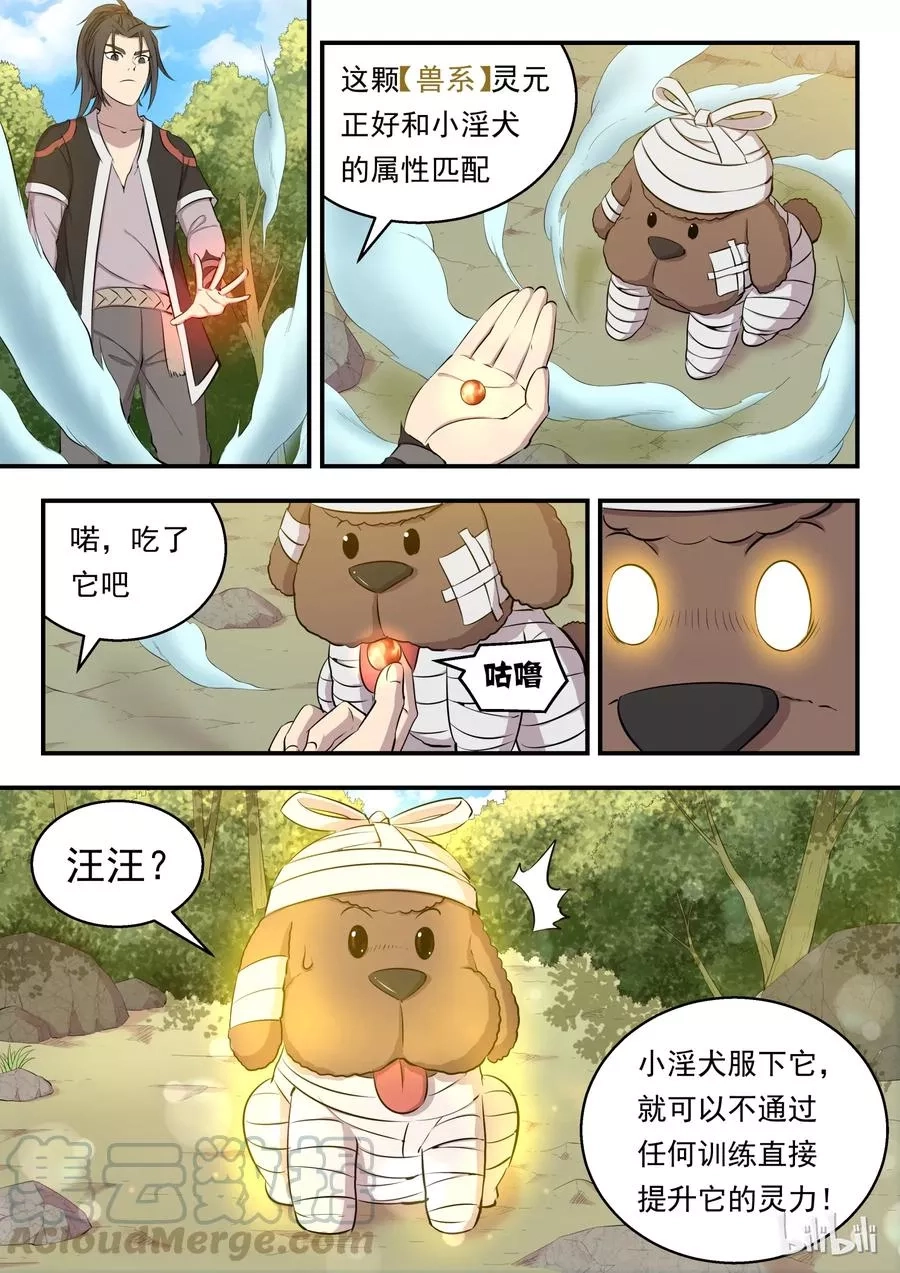 鲲吞天下,005 小鲶鱼的秘密,第16张