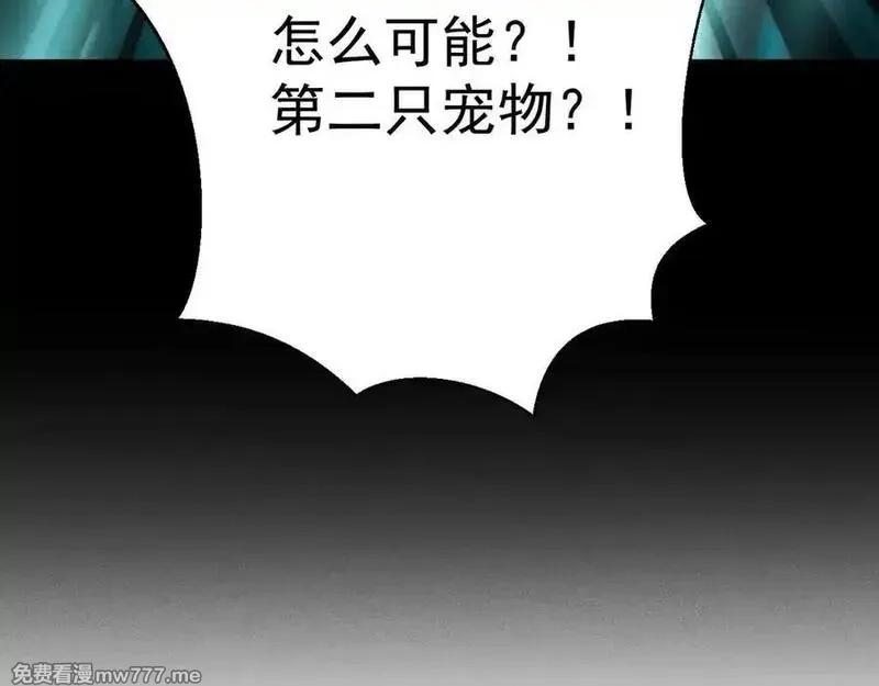 网游：挂机百万年，我醒来成神,第33话 变异的黄金骷髅王,第167张