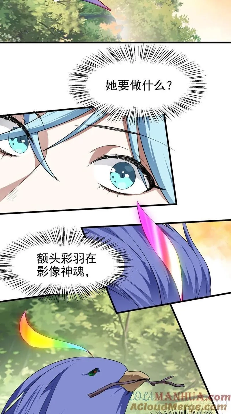 这个人仙太过正经,第七十一话 荒岛少女,第19张