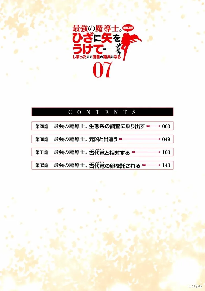 最强的魔导士，膝盖中了一箭之后成为乡下的卫兵,第29话,第4张