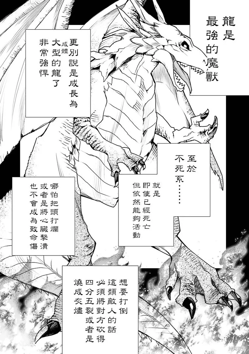 最强的魔导士，膝盖中了一箭之后成为乡下的卫兵,第12话,第3张