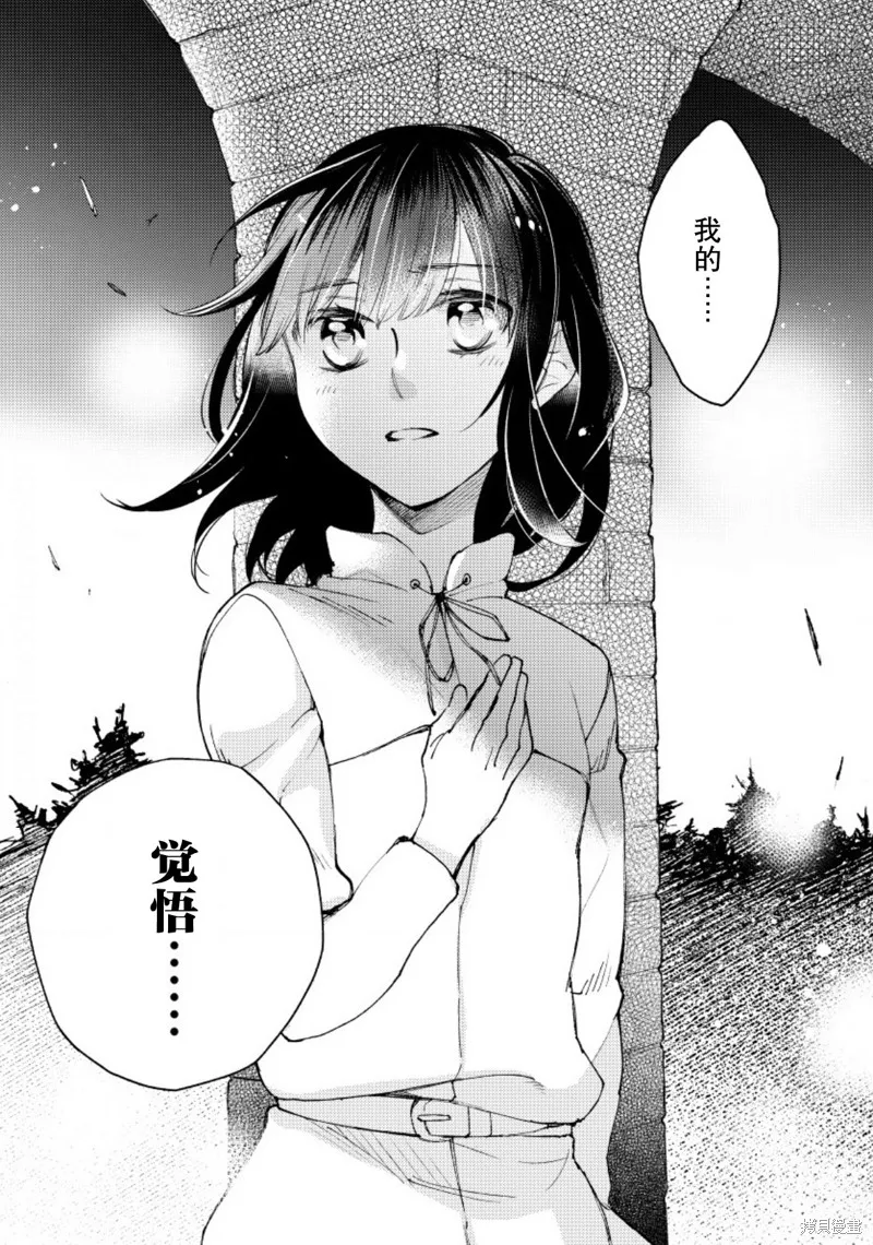 利里耶国骑士团与辛德瑞拉的弦音,第12话,第33张