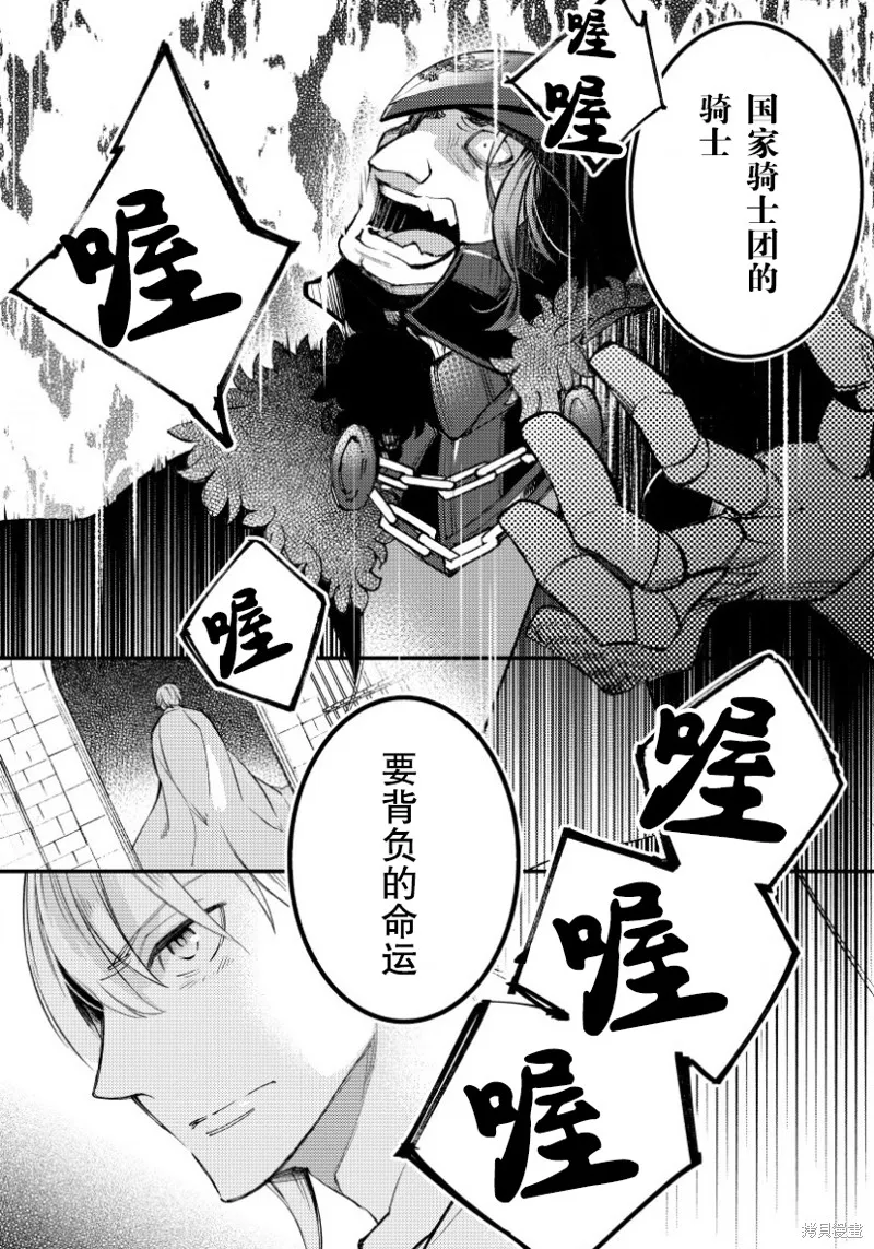 利里耶国骑士团与辛德瑞拉的弦音,第07话,第31张