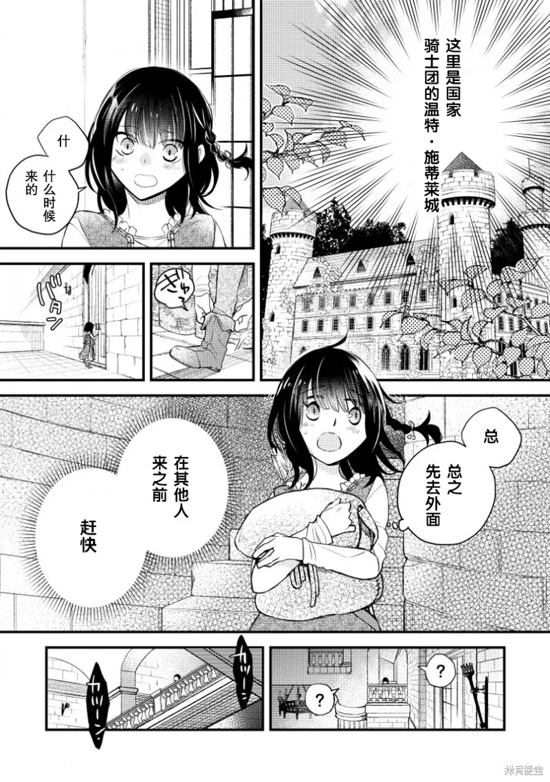 利里耶国骑士团与辛德瑞拉的弦音,第04话,第9张