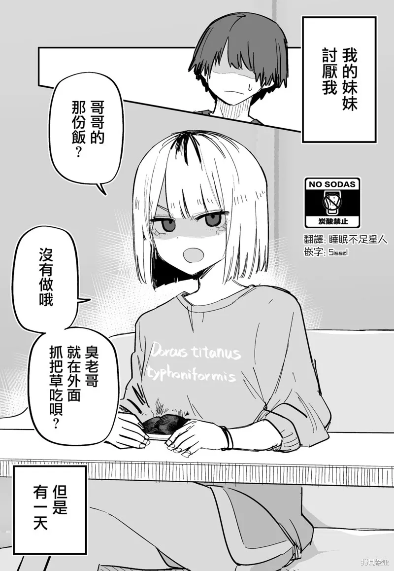 讨厌我的妹妹好可怕,第09話,第1张