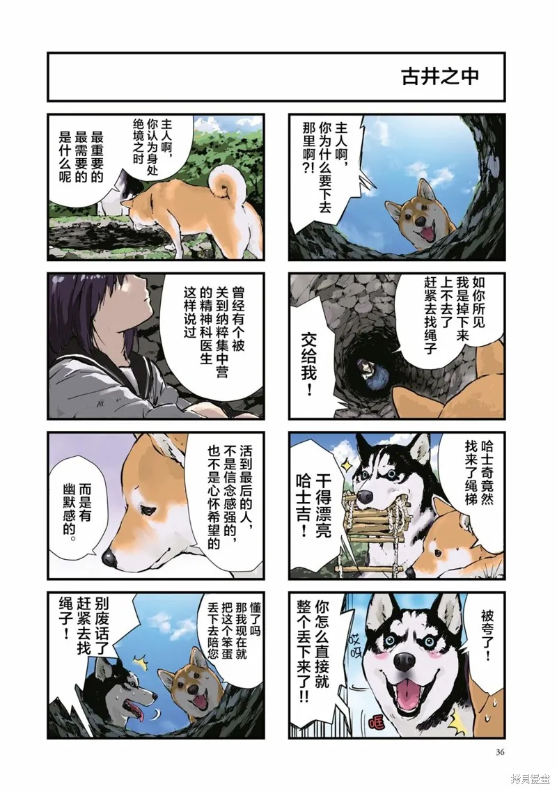 世界末日柴犬為伴,第30话,第8张