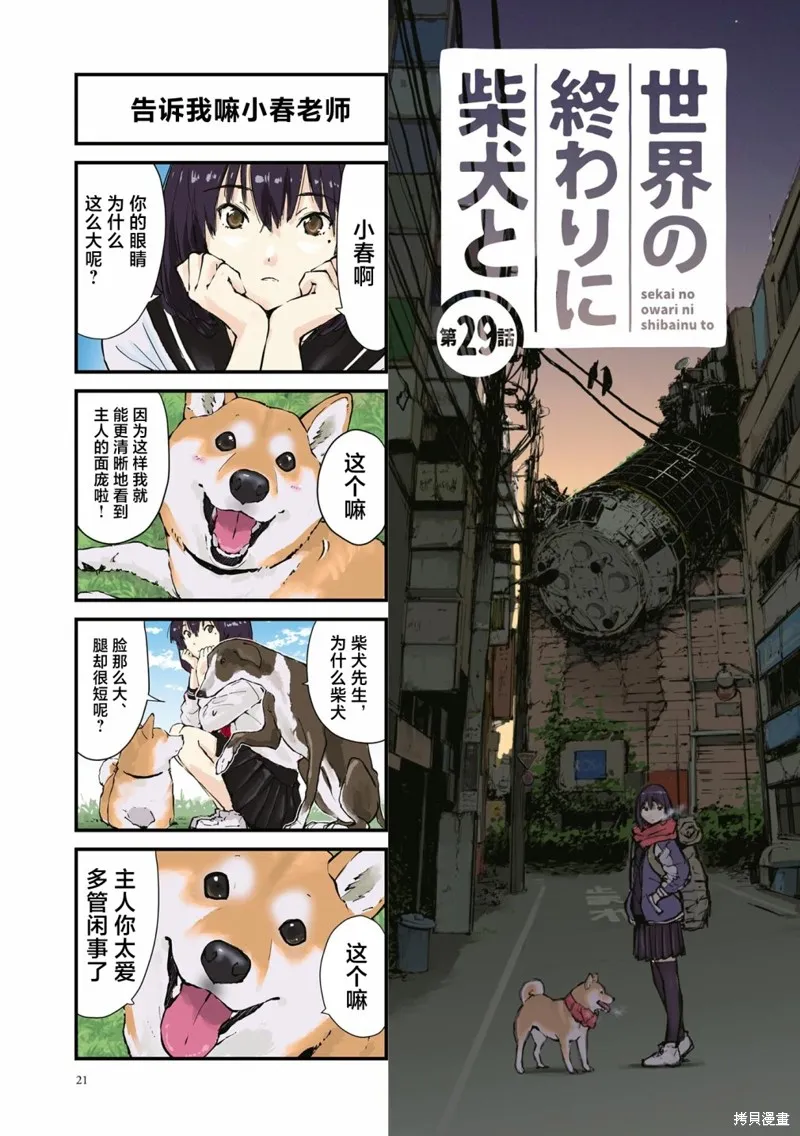 世界末日柴犬為伴,第29话,第1张