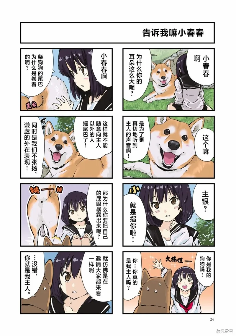 世界末日柴犬為伴,第29话,第4张