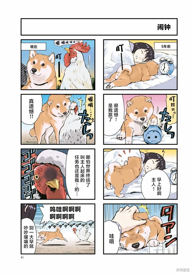 世界末日柴犬為伴,第25话,第3张