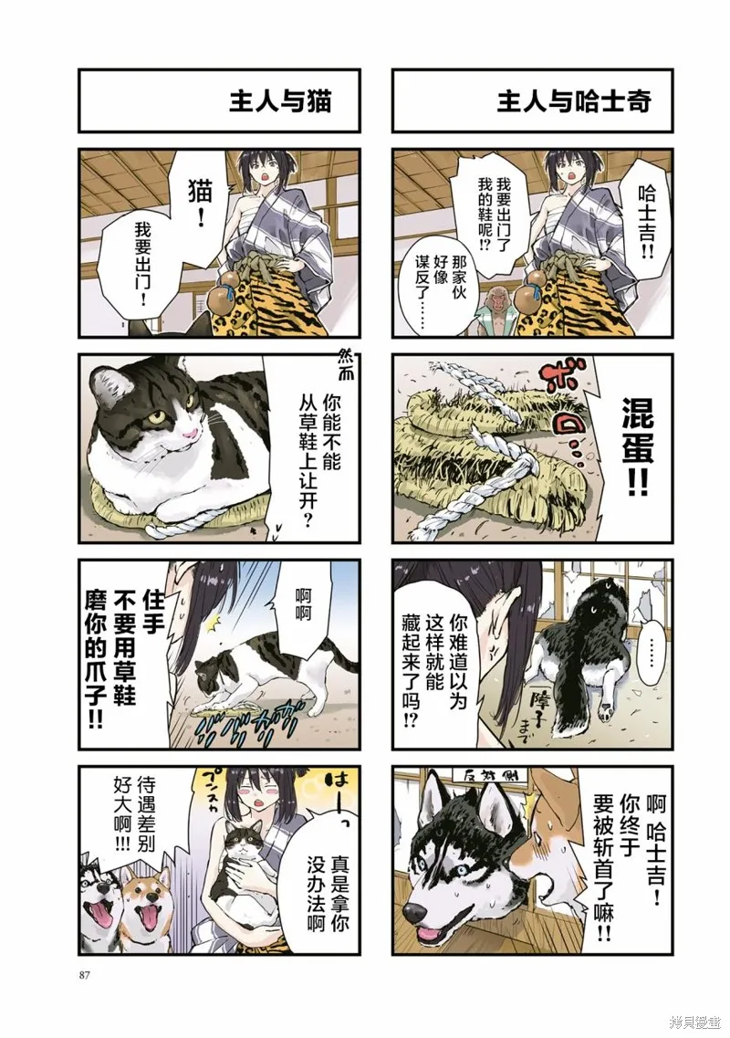 世界末日柴犬為伴,第25话,第9张
