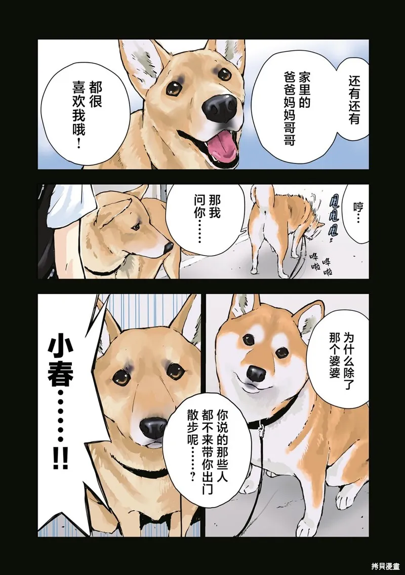 世界末日柴犬為伴,第35.5话,第12张