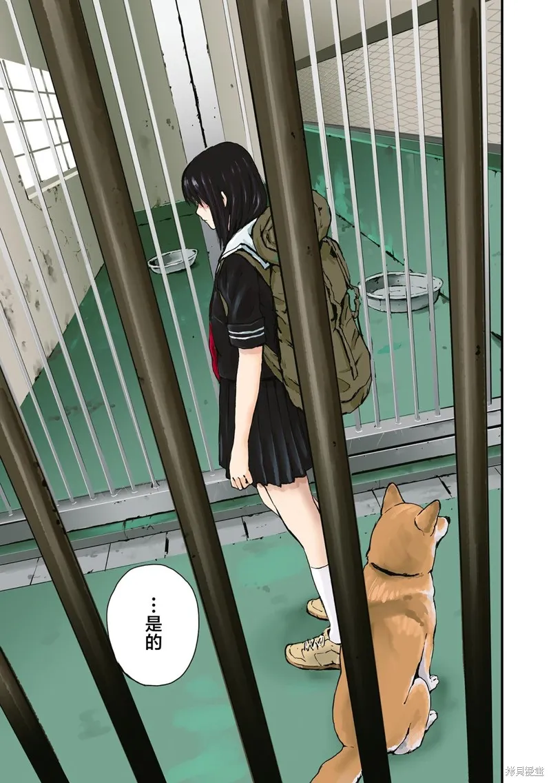 世界末日柴犬為伴,第35.5话,第19张