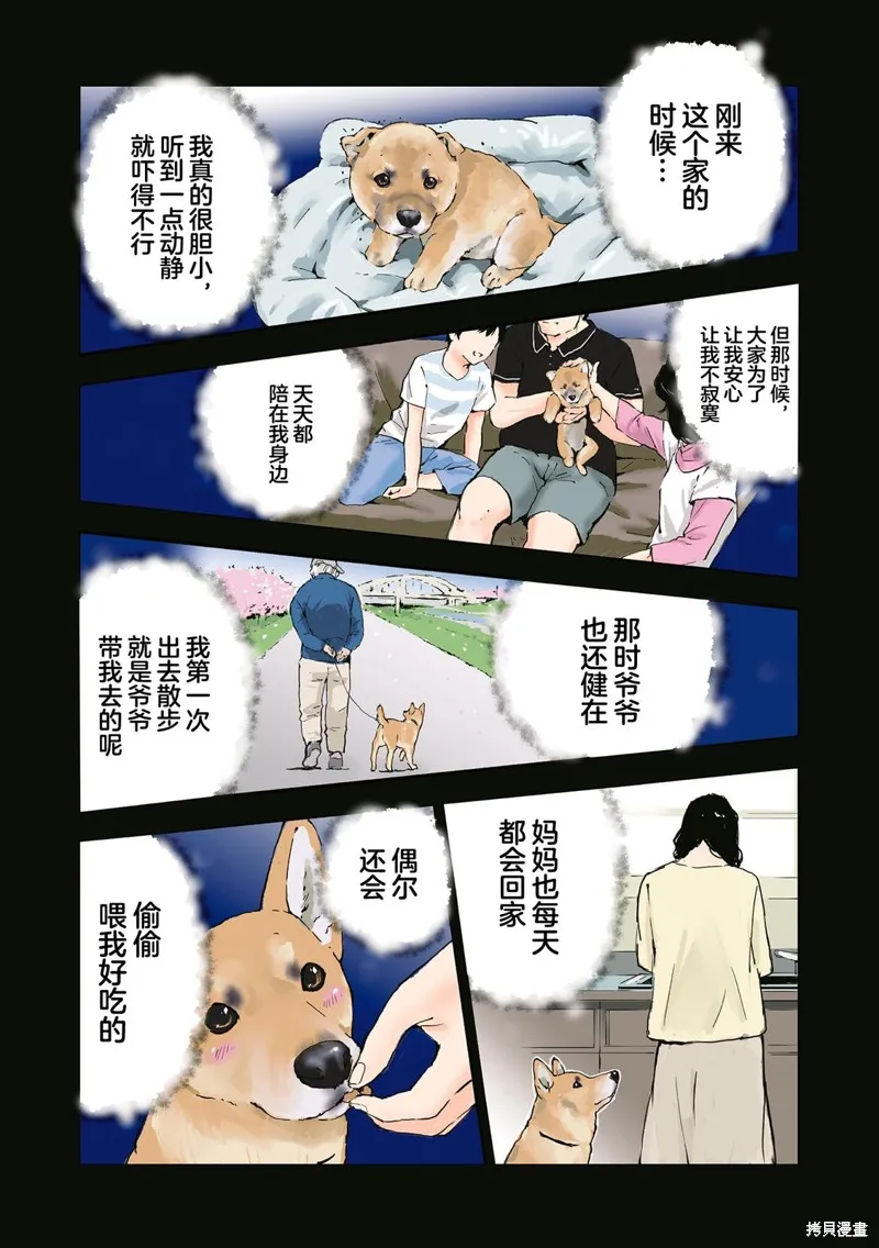 世界末日柴犬為伴,第35.5话,第24张