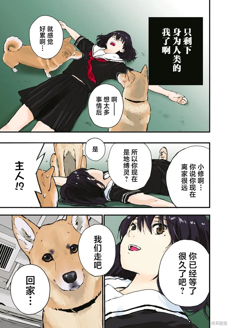 世界末日柴犬為伴,第35.5话,第29张