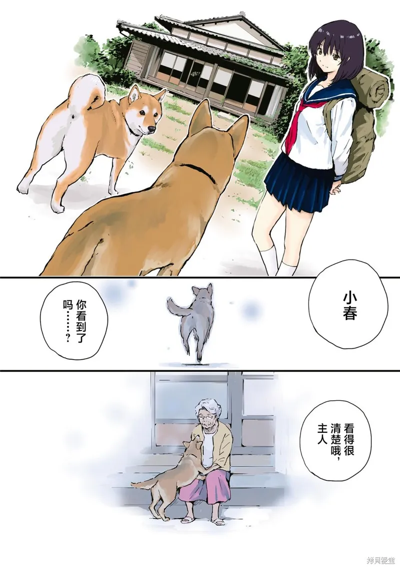 世界末日柴犬為伴,第35.5话,第32张