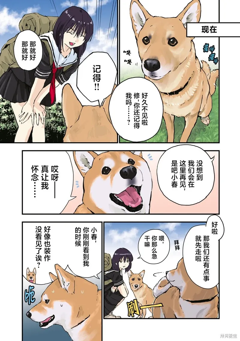 世界末日柴犬為伴,第35.5话,第7张
