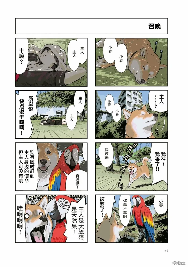 世界末日柴犬為伴,第21话,第6张