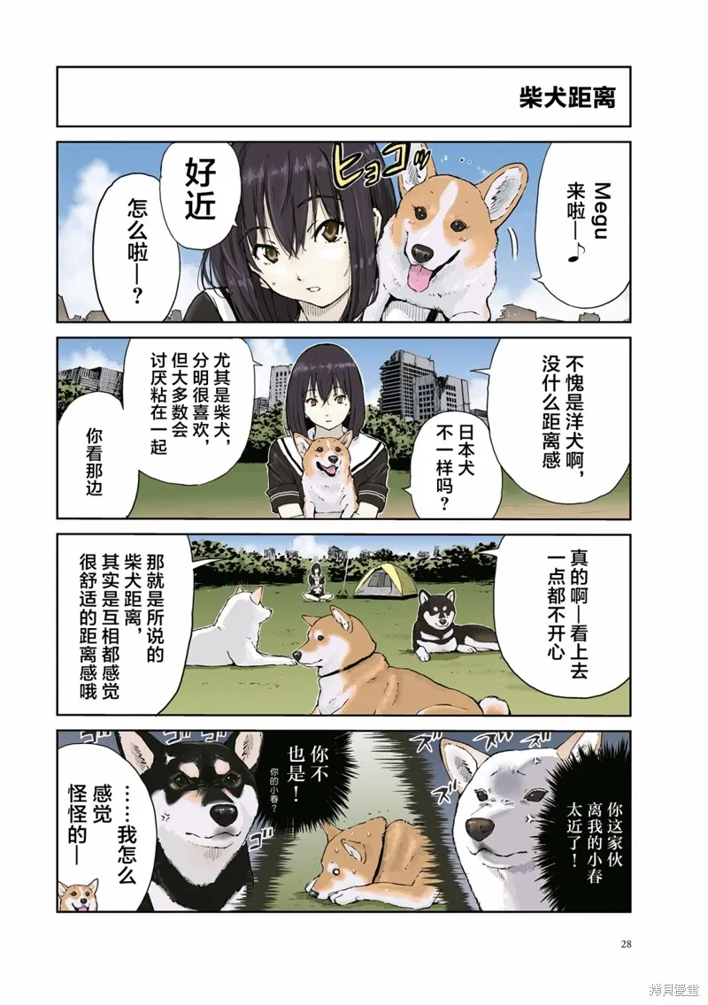 世界末日柴犬為伴,第19话,第4张