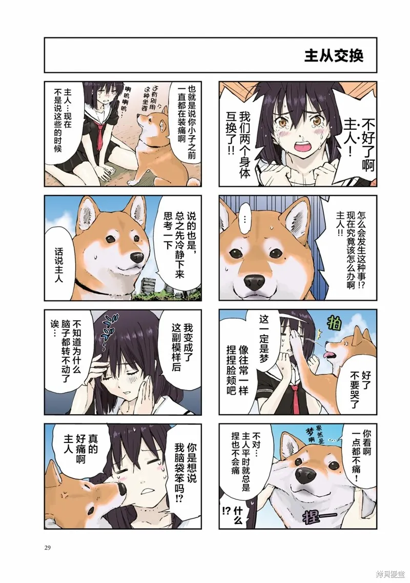世界末日柴犬為伴,第19话,第5张