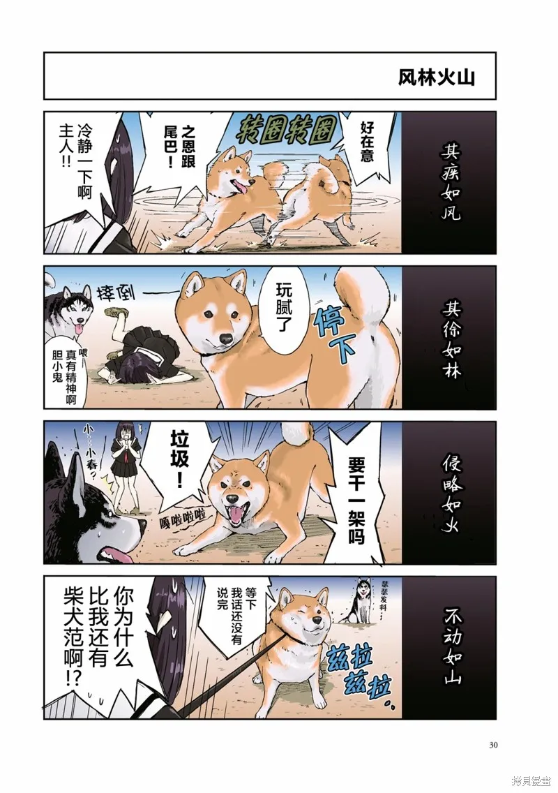 世界末日柴犬為伴,第19话,第6张