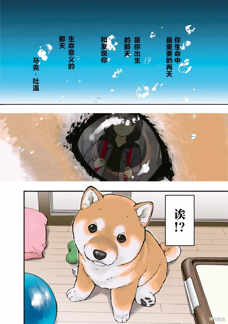 世界末日柴犬為伴,第26.5话,第2张
