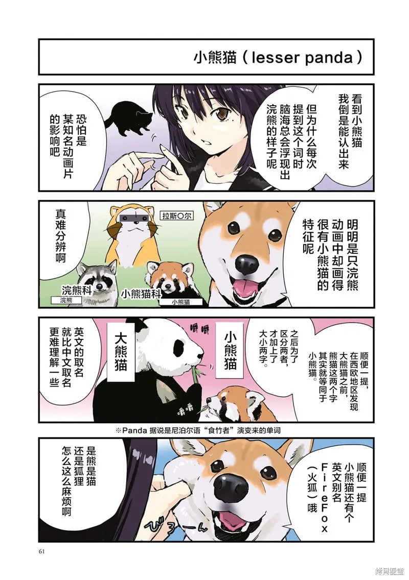 世界末日柴犬為伴,第33话,第5张