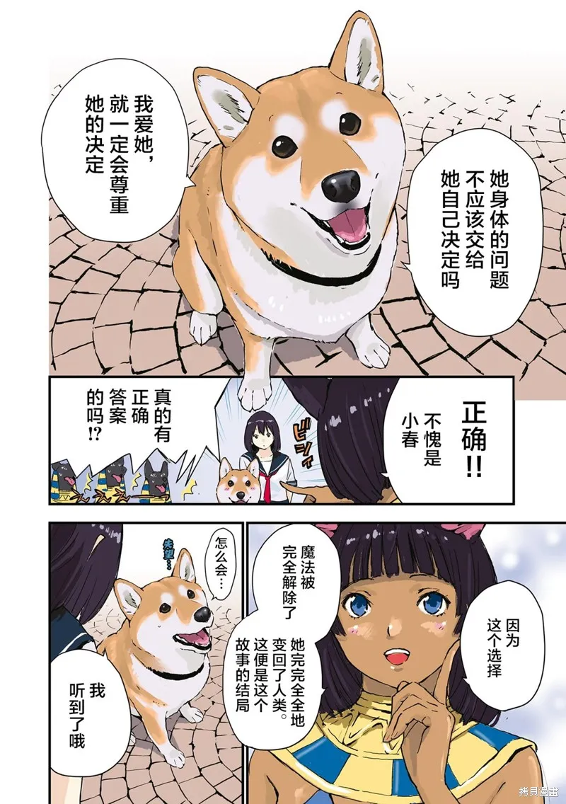 世界末日柴犬為伴,第33话,第8张