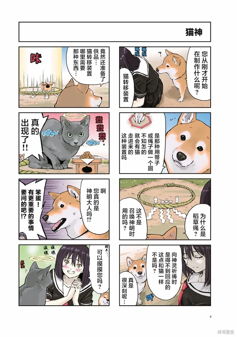 世界末日柴犬為伴,第16话,第5张