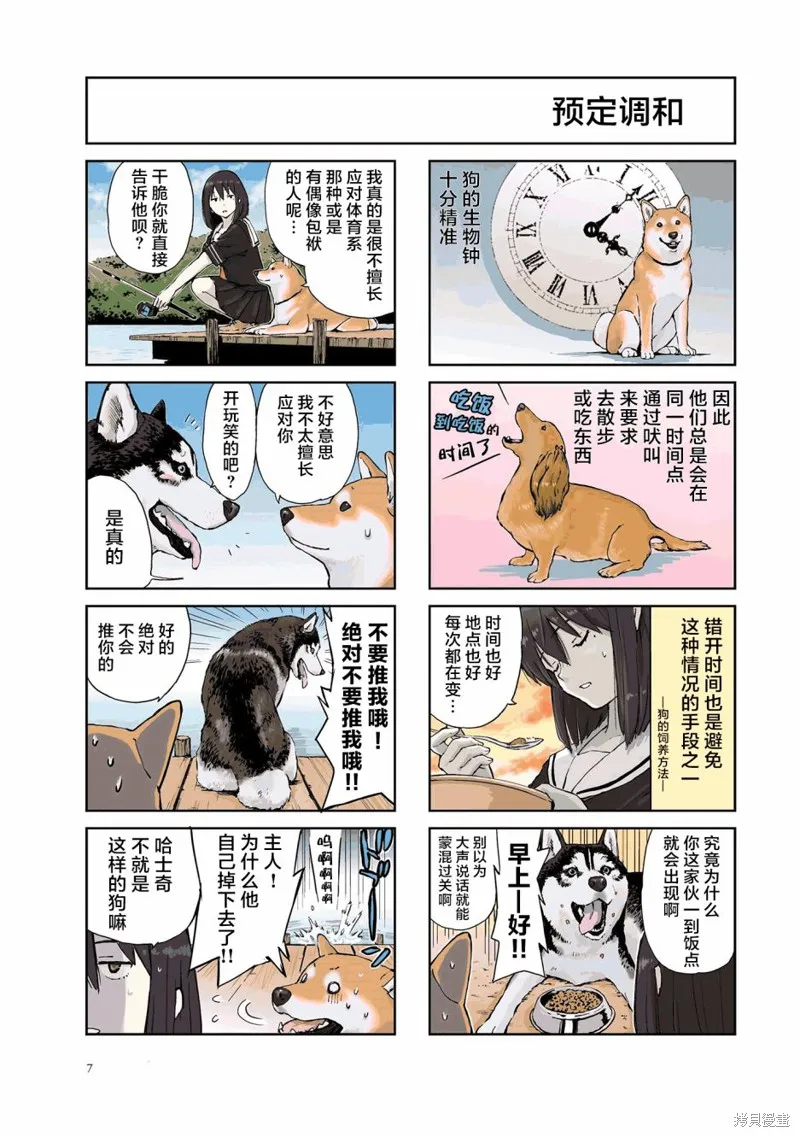 世界末日柴犬為伴,第16话,第8张