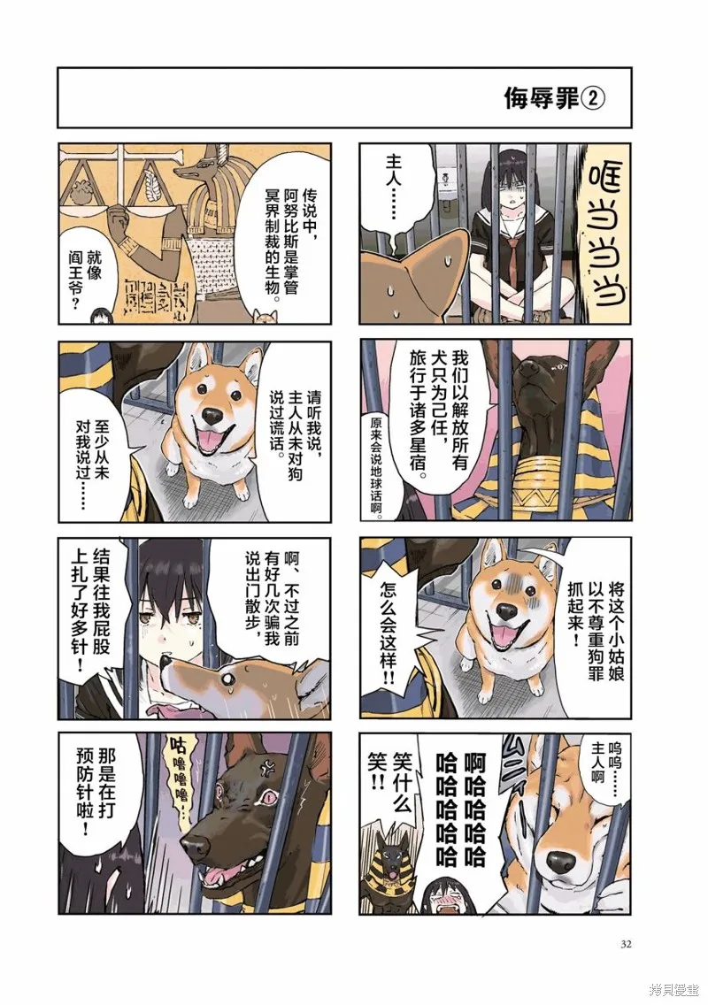 世界末日柴犬為伴,第20话,第2张