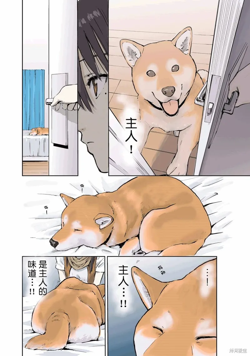 世界末日柴犬為伴,第15话,第12张