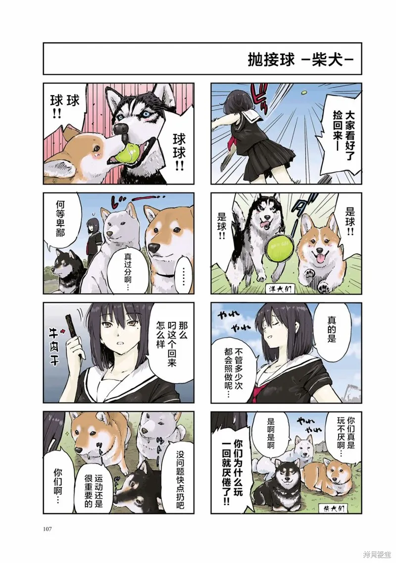世界末日柴犬為伴,第15话,第5张
