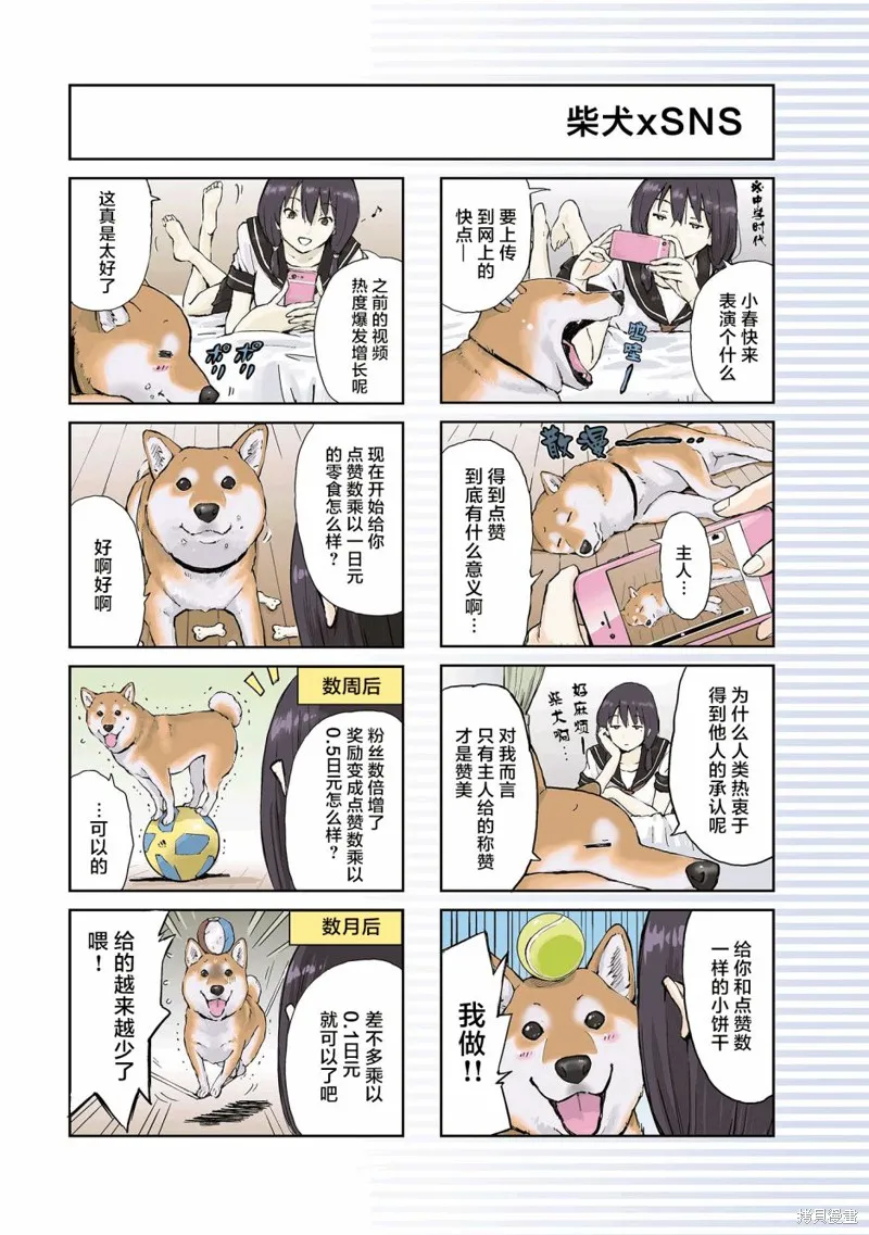 世界末日柴犬為伴,第15话,第8张